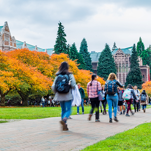 Top 10 Universities for International Students in Japan in 2024